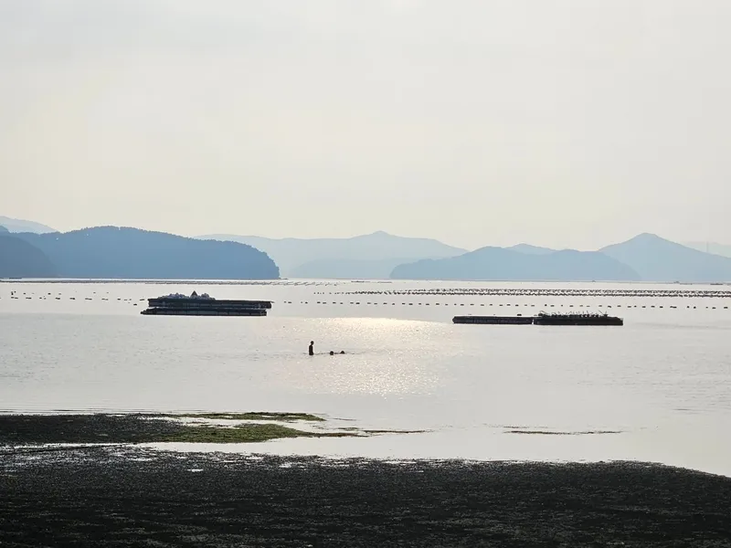 [Geoje] A healing house in front of the beach for one team only #Dogs allowed 33