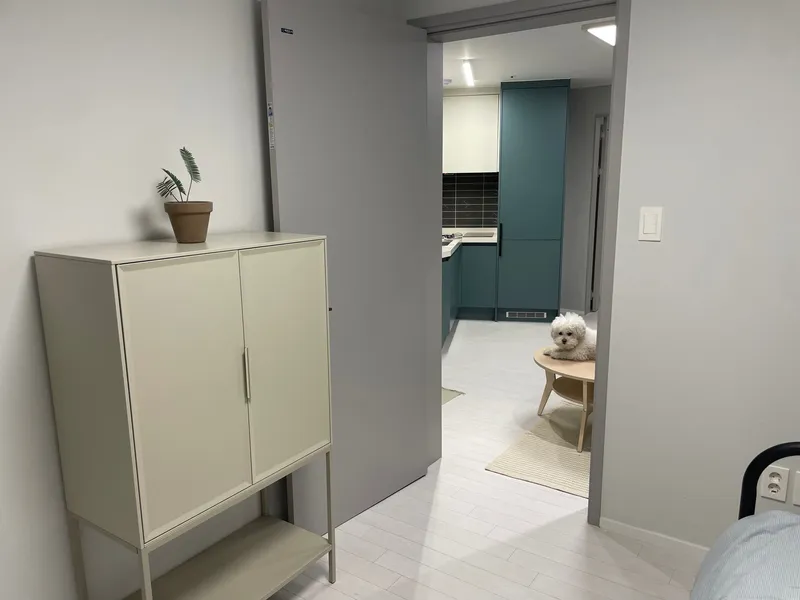 [Seongbuk, Seoul] Scotty’s Place / Free Parking / Max. 5 / Pets Allowed 8