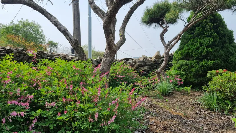 [충남 논산] 시골살이/돌담/한옥/독채/반려동물 29