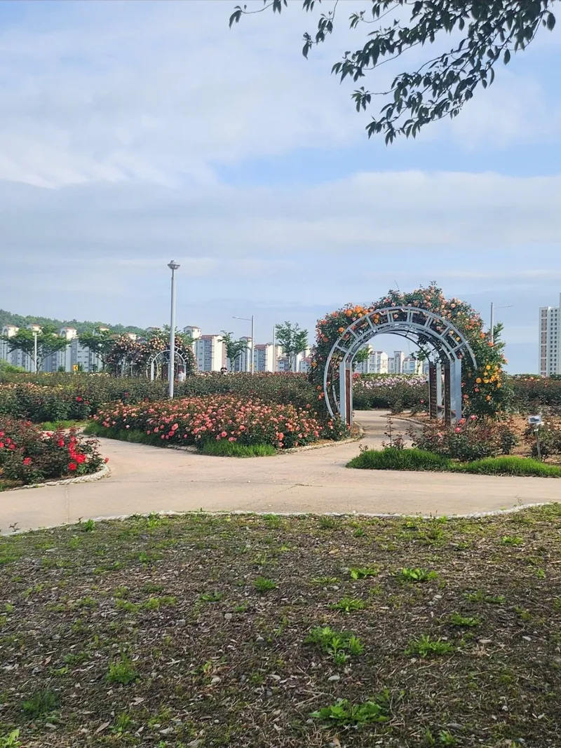 [Yeosu] Yeosu Beach Marina Yacht Club, waterfront swimming pool, romantic pojangmacha (traditional Korean food stall), and free parking are located in front of the accommodation. 27