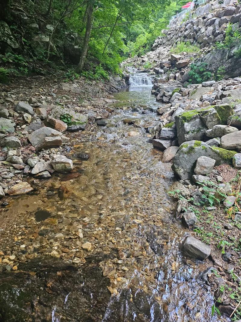 [Yangyang] Private, dog-friendly barbecue area 20 minutes from Hajodae near Beopsuchi Valley 27