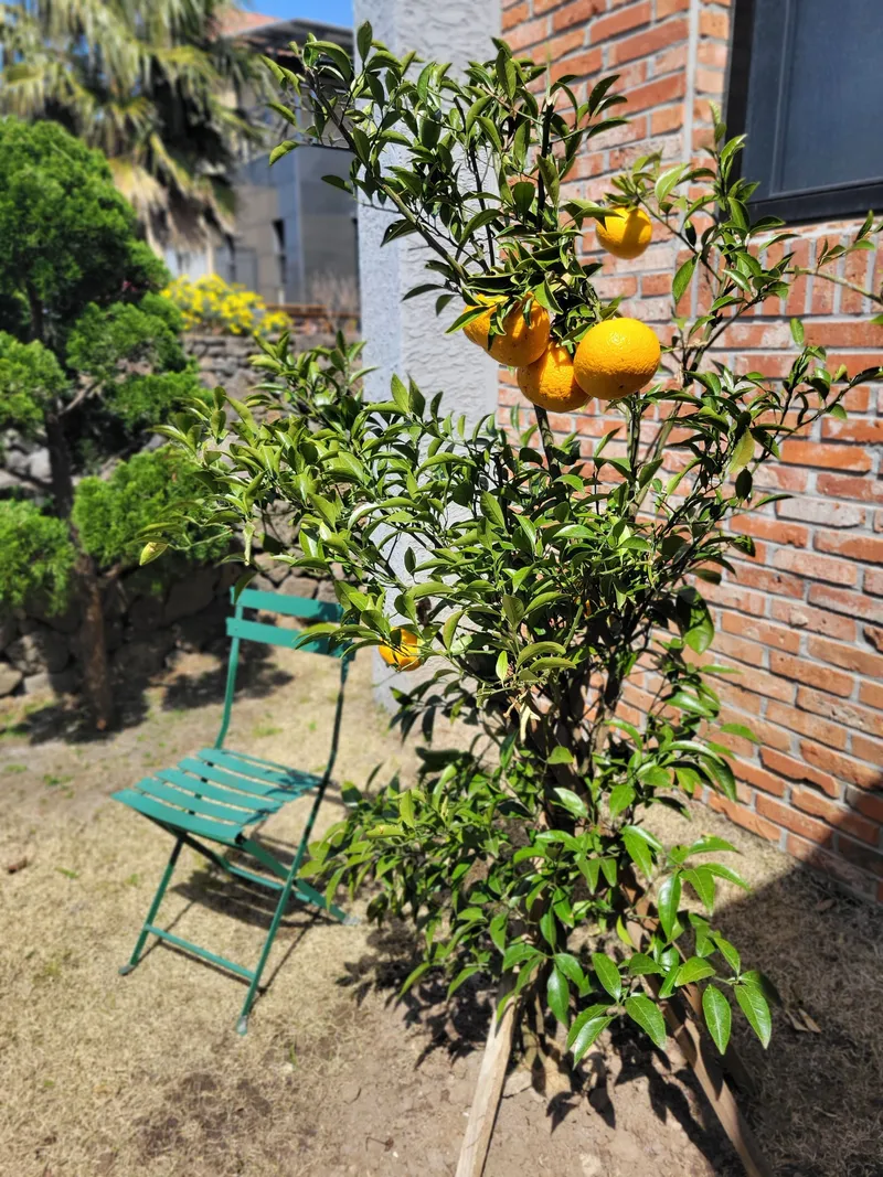 [Aewol, Jeju] Private detached house and pool villa and spacious space #Pets allowed 18