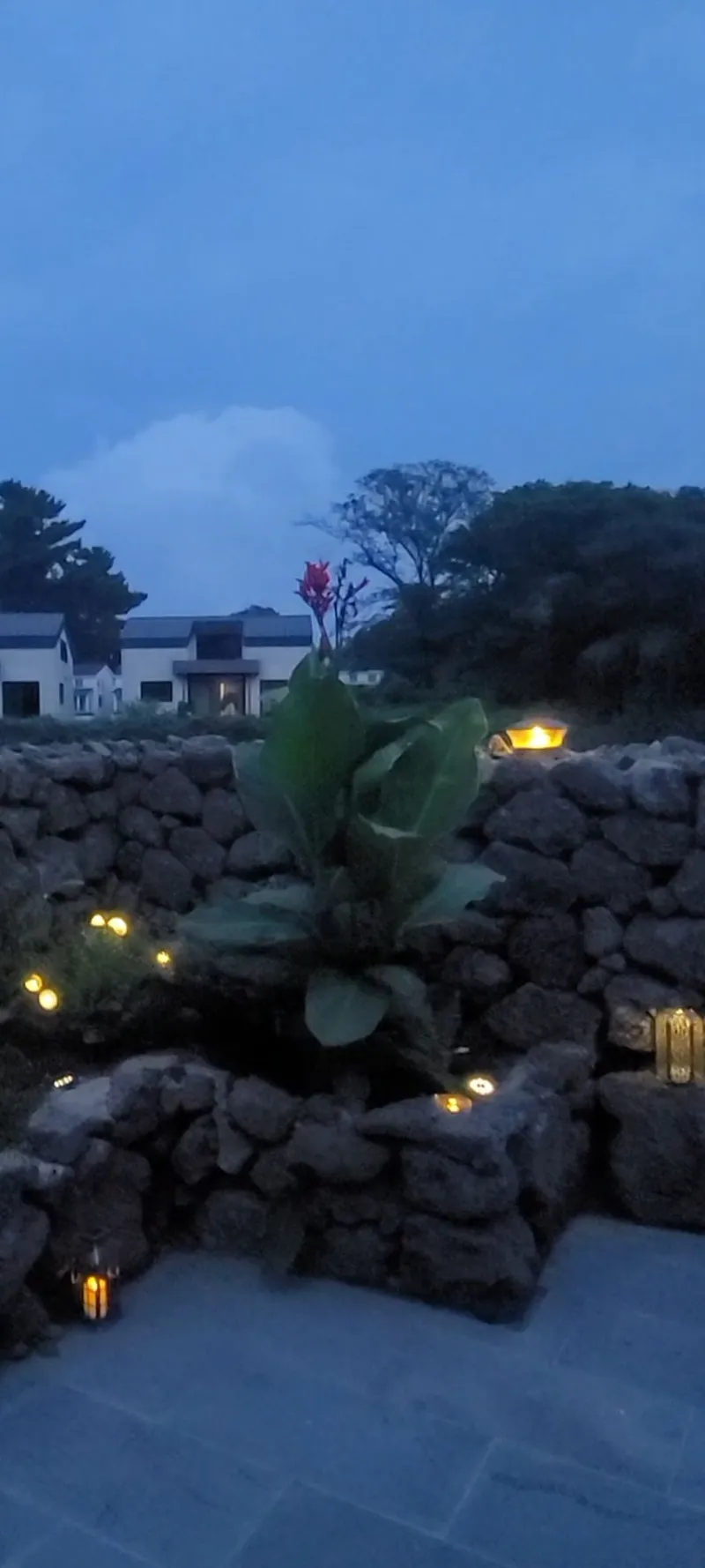 [제주 조천] 9월 오픈 신상숙소 오름 밑 삼나무로 둘러싸인  별채하우스 19
