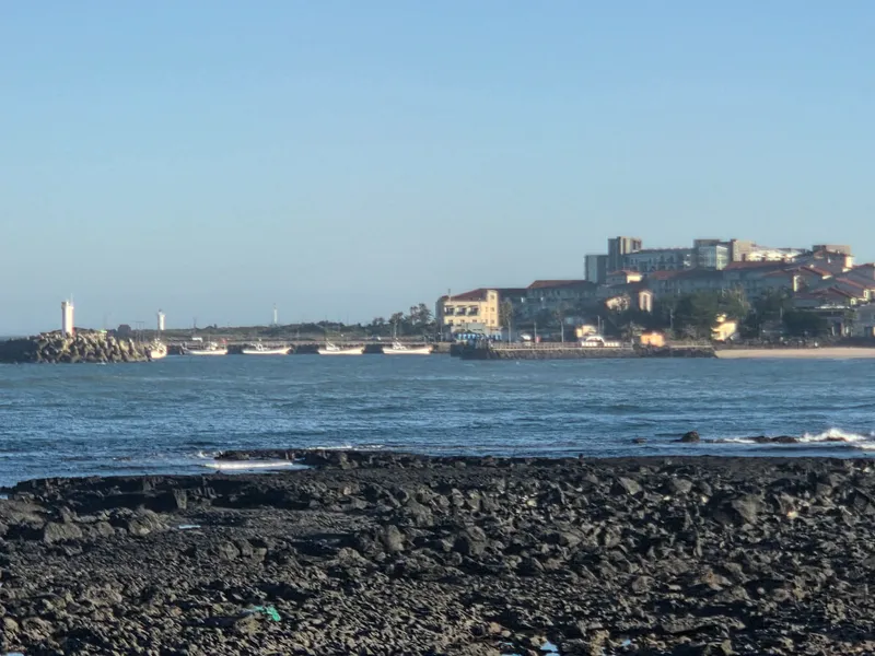 [Pyoseon, Seogwipo] Samseokjip, Sogeummak & Haebi Beach 5 minutes away, convenient transportation, comfortable and safe 20