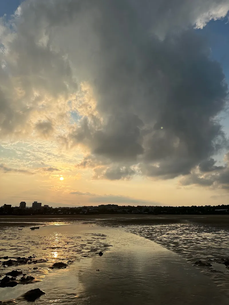 [서귀포 남원] 표선 독채풀빌라 애견동반 55