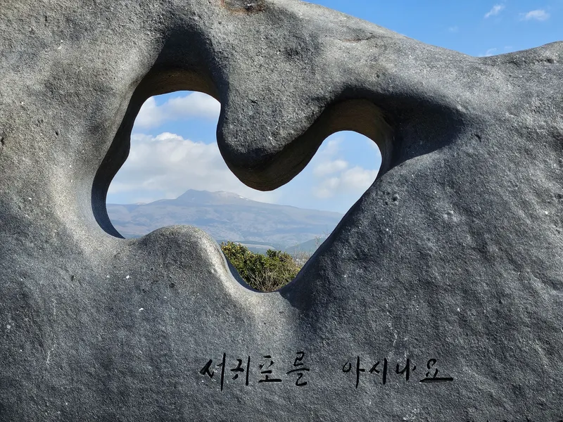 [서귀포 서귀동][서귀포 바다]막힘없는 오션뷰#생활편의#투룸#가성비#반려견#가족#노을뷰 56
