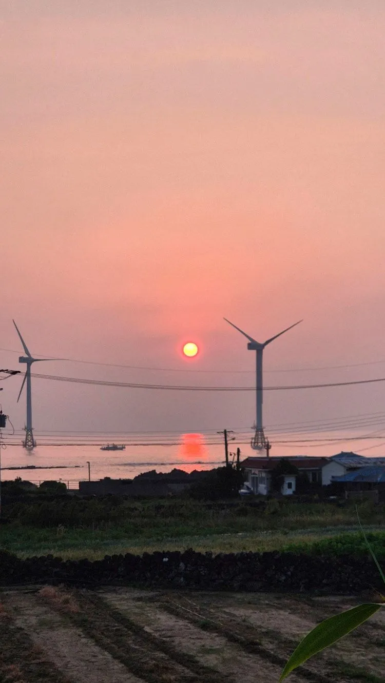 [제주 한경] 감성독채,야외자쿠지,판포포구,협재해수욕장,금능해수욕장 19