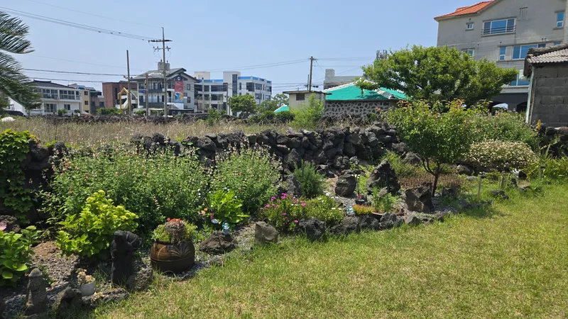[제주 애월] 곽지해수욕장 도보3분 예쁜 잔디마당 있는 아담한 독채 38
