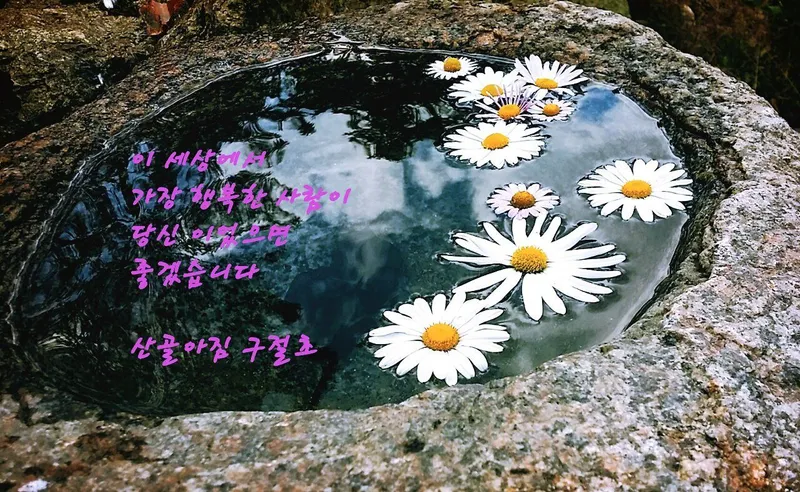 [전남 구례] 섬진강변 청정산골 황토구들방 반려동물가능 20