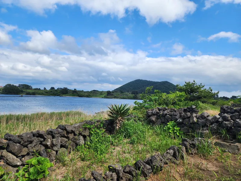 [Gujwa, Jeju] Jeju Rakhado / A House Loved by Artists 53