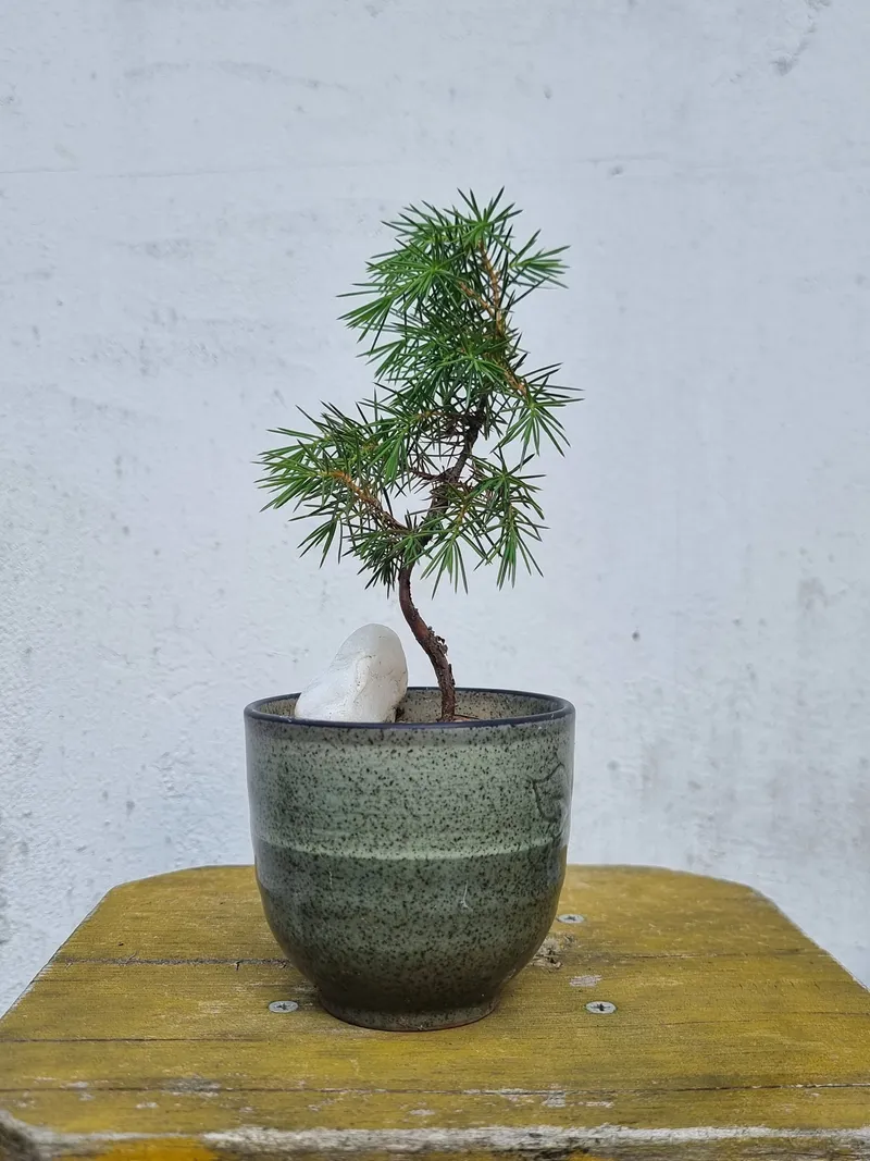 [경기 가평] 북한강변 호명산에서 살아보기.펑키2 8