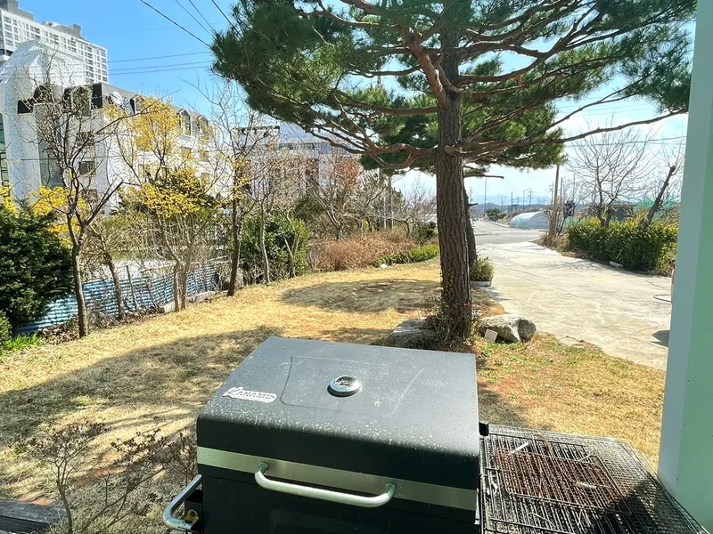 [강원 강릉] 사천해변  #해변 #바다 #가족 #농어촌민박 7