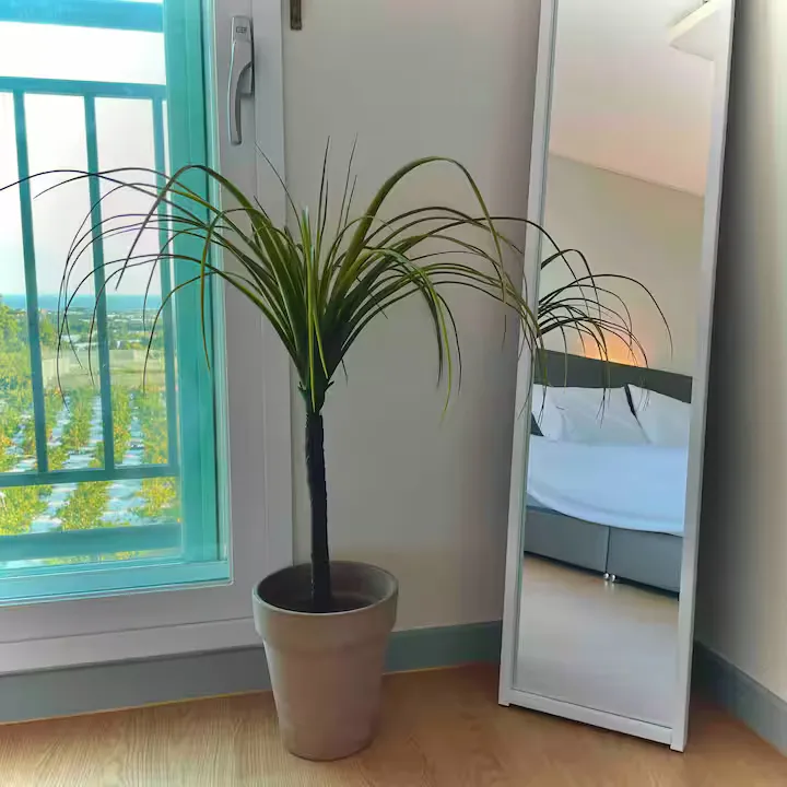 [Sanghyo-dong, Seogwipo] IN My place Jeju 1st floor 13