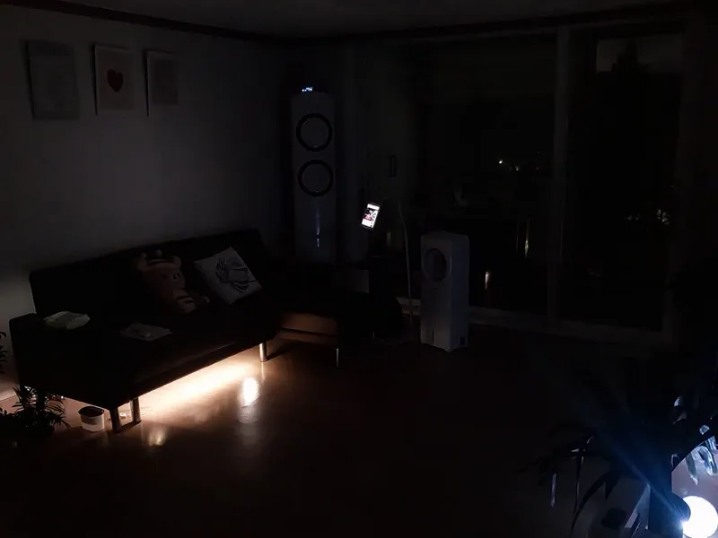 [대전 유성] 성심당 차로 10분 숲힐링 영화촬영지 39