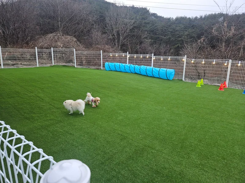 [충북 충주] 포레스트월악 205호 16