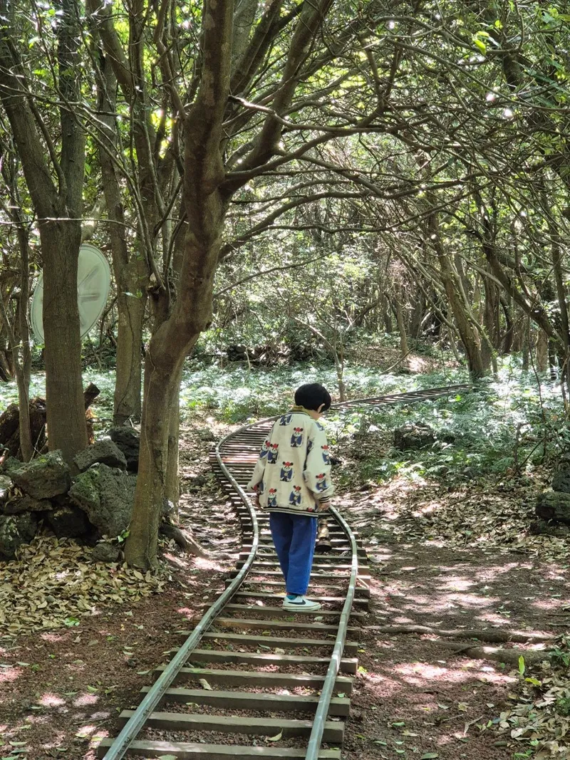 [Topyeong-dong, Seogwipo] (7 days or more) STAY Forest of Silence #1st floor terrace #Forest #Cedar stone wall forest [Seogwipo] 72