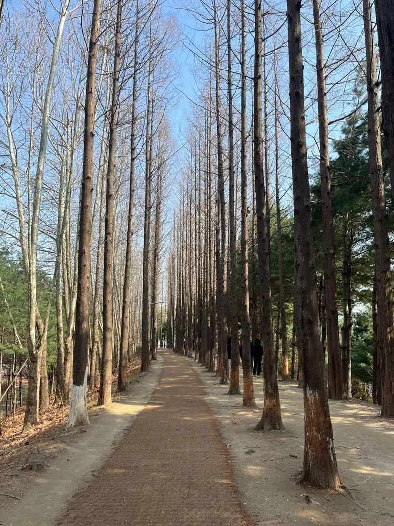 [Gangseo, Seoul] Gimpo Airport Magok Cozy House 21