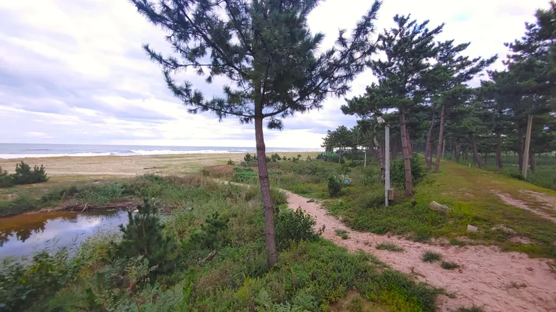 [Yangyang] Naksan Beach Sunrise #Seoraksan Mountain Sunset #Namdaecheon Riverside Trail & Water Sports 37