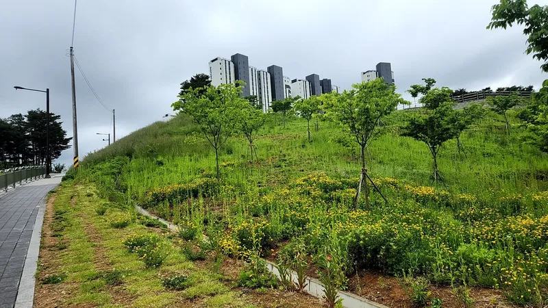 [강원 동해] 호텔보다 쾌적한# 초고층 신축# 도서관 옆 조용한 힐링숙소 36