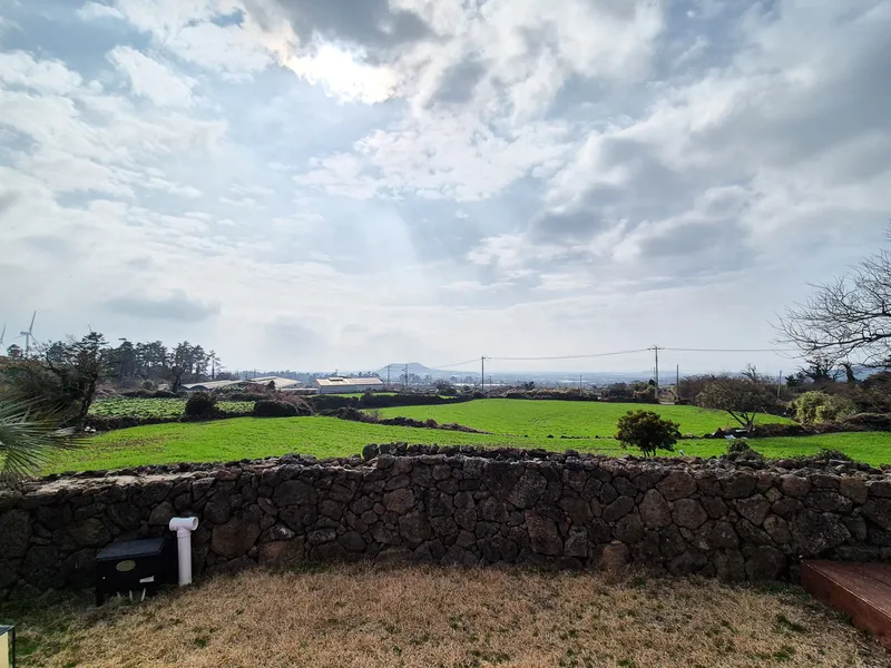 [Hallim, Jeju] Haha House #Single-family home #2nd floor #Comfortable #Sunset restaurant #Infant and toddler #Stone wall #Yard 39