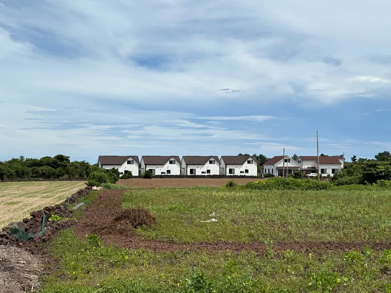 [Gujwa, Jeju] Duplex Separated One Room Field View #Far Sea View A 28