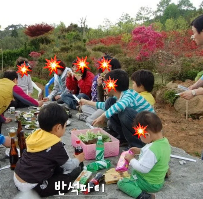[전남 곡성] 섬진강 기차마을 대나무숲 마당넓은 애견동반 오직 한팀 펜션 123