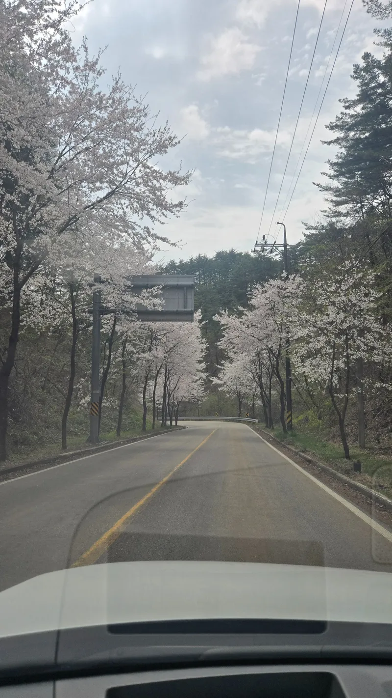 [강원 강릉] 오대산계곡펜션# 소금강계곡펜션# 연곡펜션# 주문진계곡펜션 7