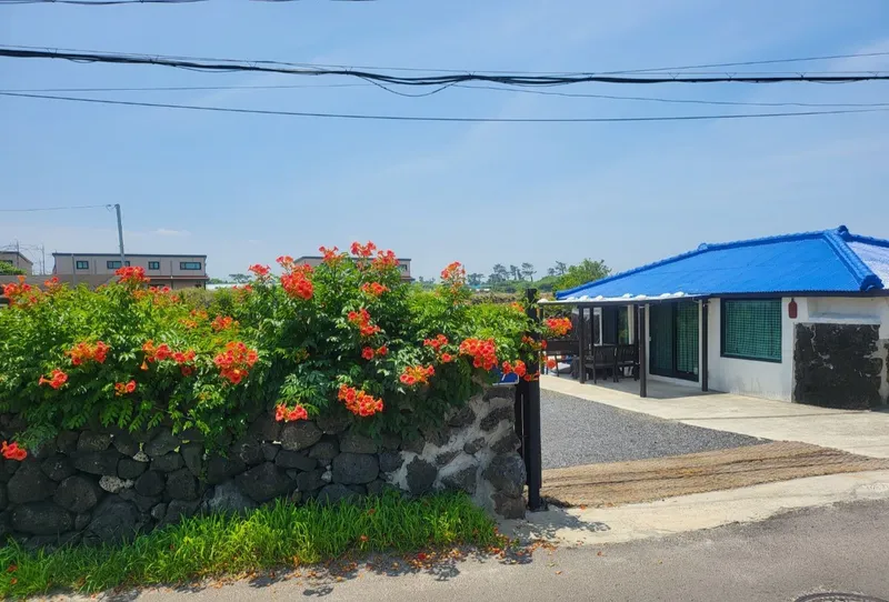 [Gujwa, Jeju] Woljeong Olle-gil Farmhouse #Wide Yard #Camping #5 Minutes to the Beach #Stone Wall #Parking Lot 15