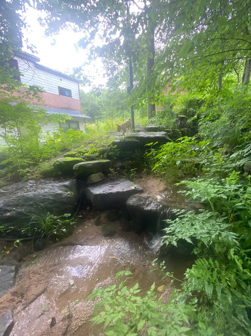 [Pyeongchang] Muiri Private House + Annex 40