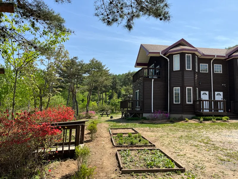 [Pyeongchang] Wildflower Friends_Bongpyeong Forest Complex One-Room #102 16