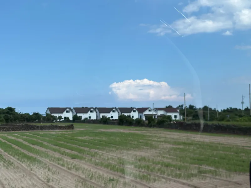 [제주 구좌] 복층분리형원룸 밭뷰 #먼바다#밭뷰#돌담뷰#한라산뷰뷰 B 15
