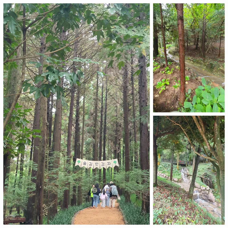 [전남 장흥] 별빛 마당 힐링 독채 #노벨상 문학여행 22
