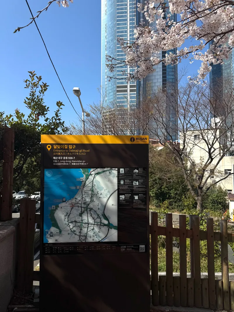 [부산 해운대] 달맞이길 오션뷰가 보이는 대형 평수 39