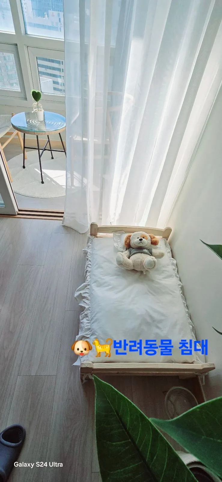 [Busanjin, Busan] Seomyeon/Jeonpo Cafe Street. Dogs and cats allowed. 4