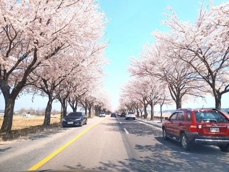 [Yangyang] Naksan Beach Sunrise #Seoraksan Mountain Sunset #Namdaecheon Riverside Trail & Water Sports 38