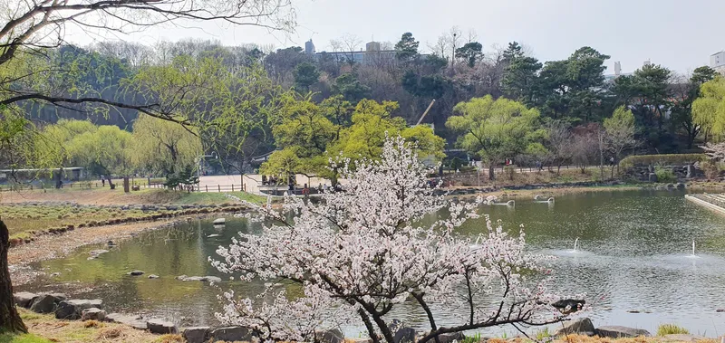 [서울 관악][서울신림]해피하우스. 아늑한 목재 내부 인테리어 원룸. 애완동물가능 18