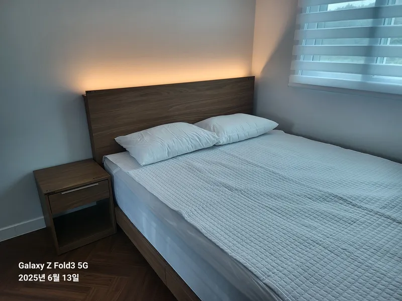 [제주 조천] 단독·복층 30평/수영장·월풀/잔디미당/숲세권/반려견 7