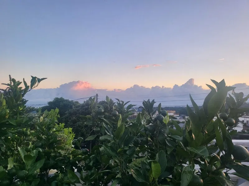 [Aewol, Jeju] A healing accommodation where you can watch the sunrise #Newly built accommodation Dalhana 30