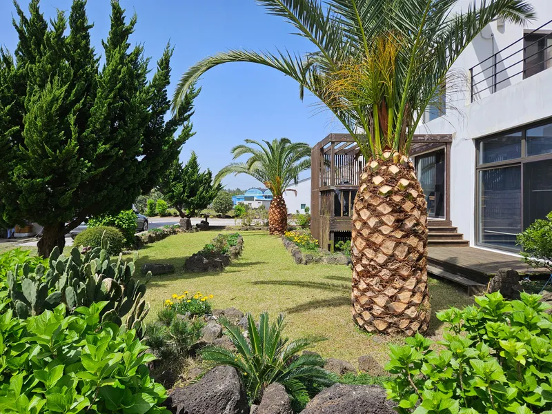 [Seongsan, Seogwipo] One-room house in the countryside with a beautiful garden and terrace, room 102 8