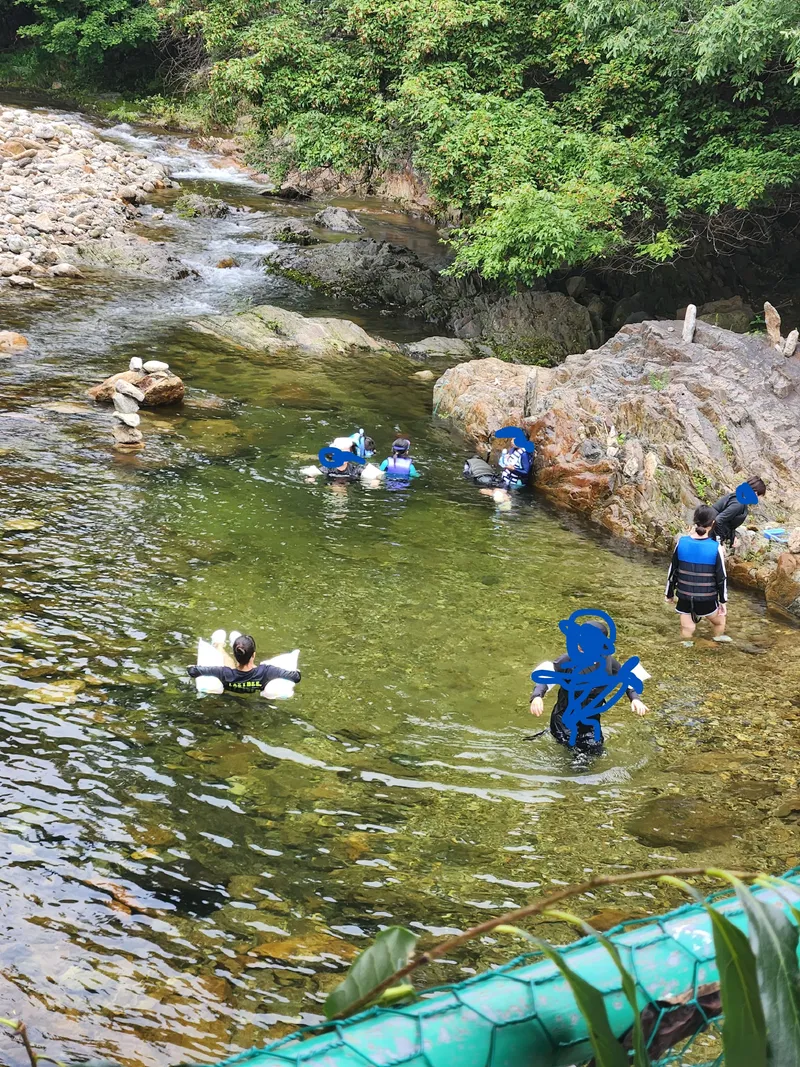 [Yeongdong] Clean valley upstream of Mulhan Stream/Rural life/Best forest area 13