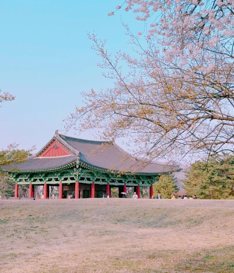[Gyeongju] Two-room apartment near Hwangridan-gil 31