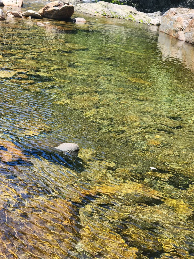 [Yeongdong] Clean valley upstream of Mulhan Stream/Rural life/Best forest area 9