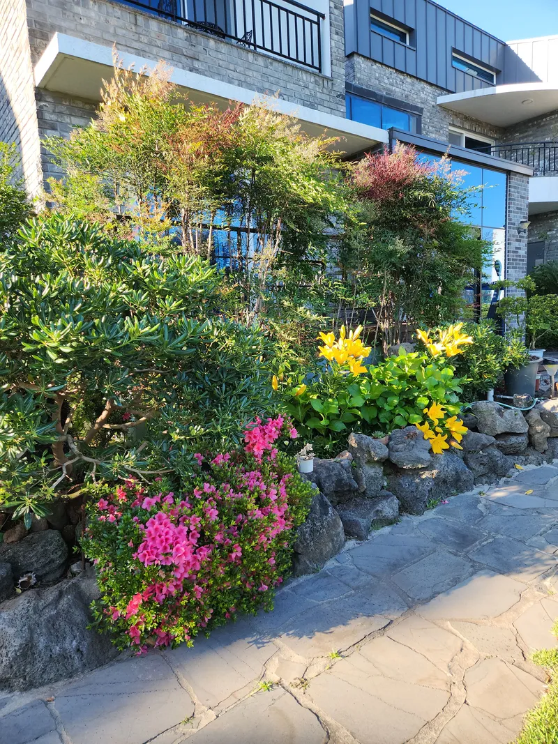 [Namwon, Seogwipo] 204, 2nd floor, wide window, cool view, 6 pyeong party room, Hanok style 24