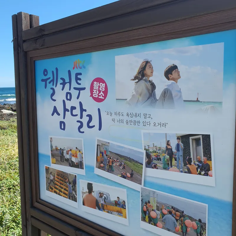 [서귀포 성산] #삼달리#마당#반려동물#다락방#돌담#시골#주택#대중교통#뚜벅이 2