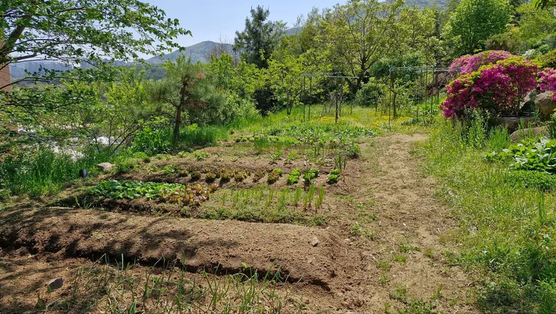 [경남 양산] 전원주택에서 여유 만들기 33