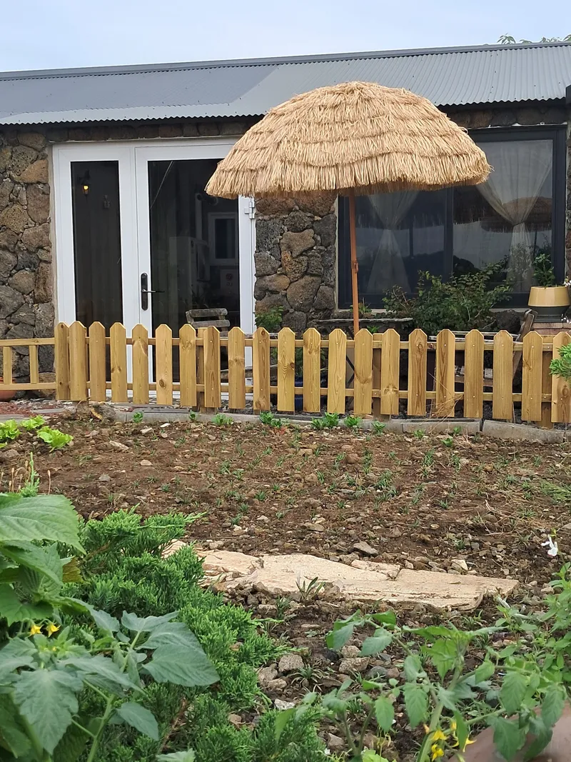 [제주 조천] 바다가보이는돌담독채#애견동반 가능,  (단층) 12