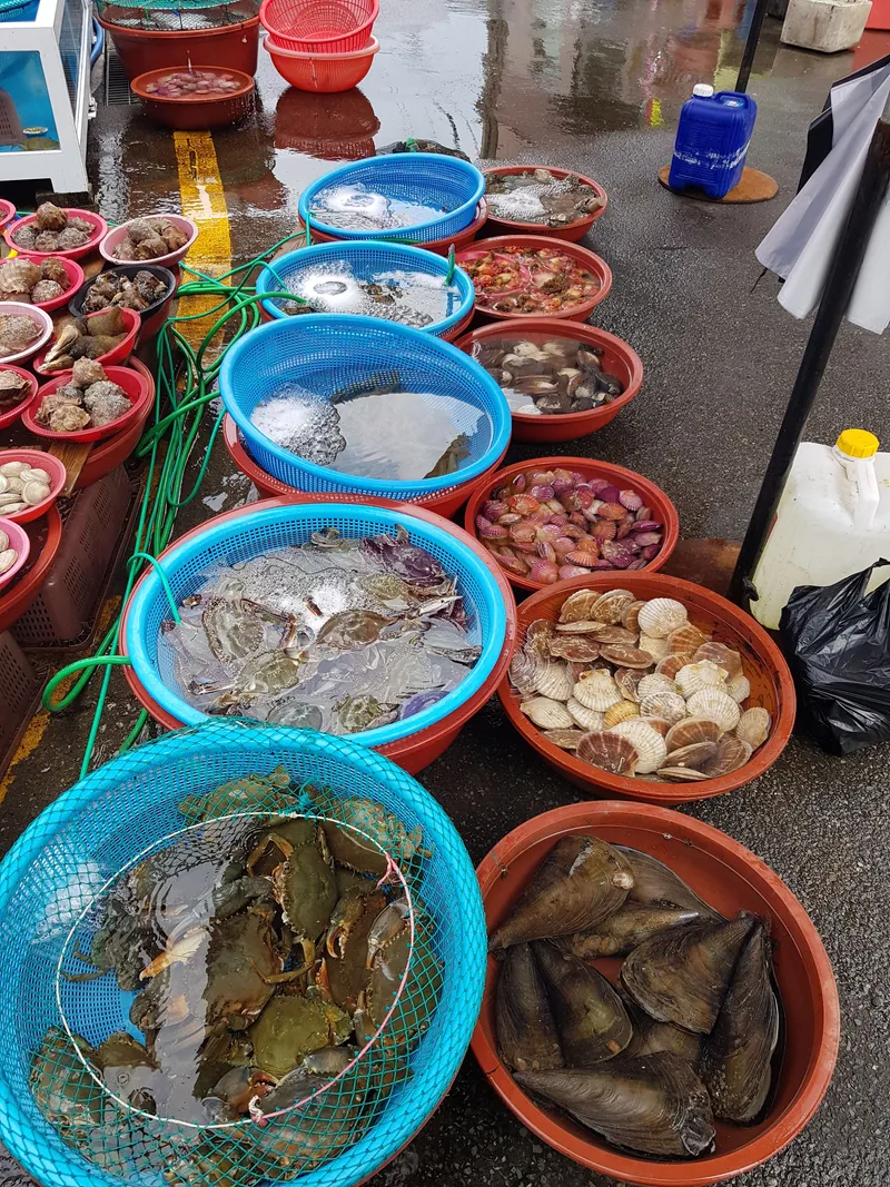[부산 해운대] 달맞이 해돋이 명소 도보5분#놀이방#애견동반 가능 35