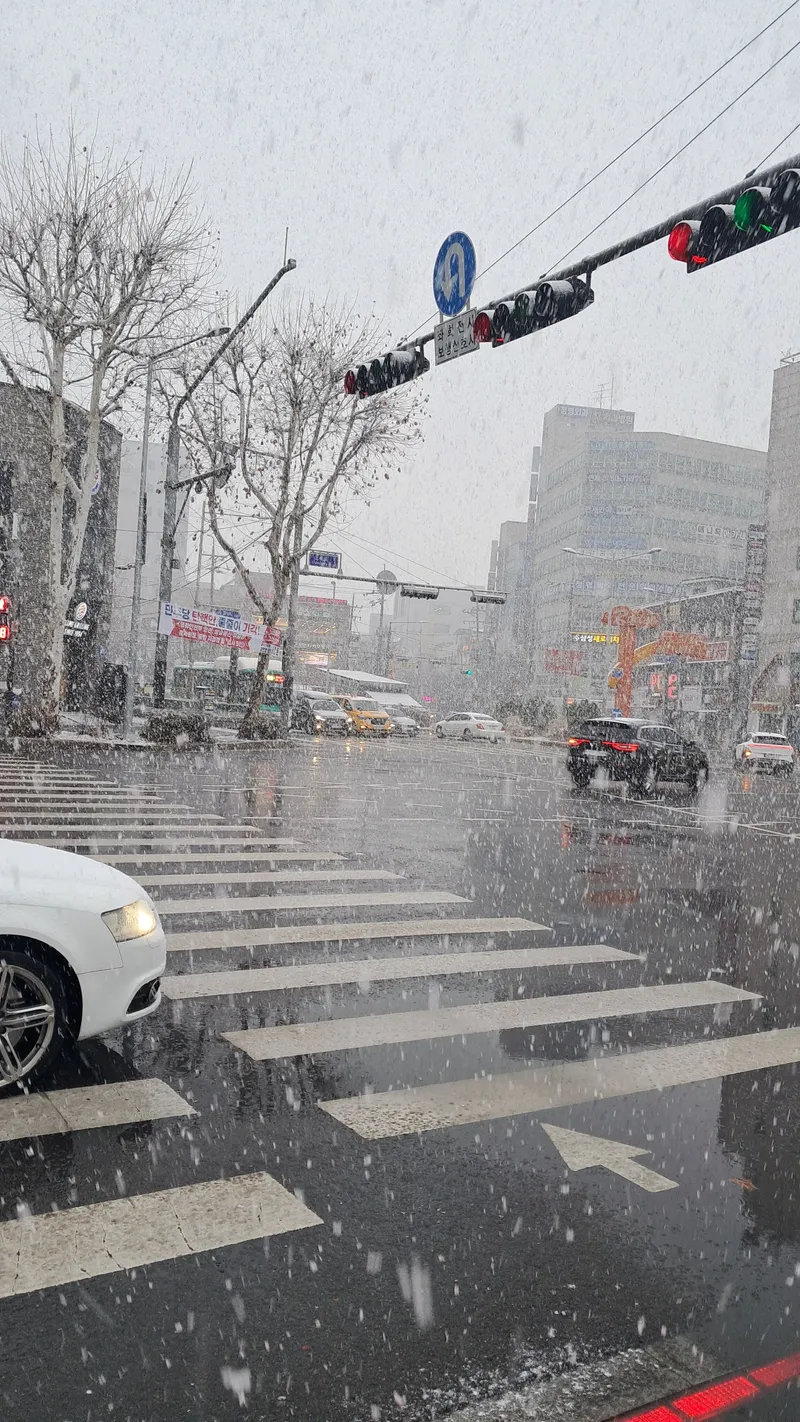 [대전 서구] 갈마동 스타벅스 엽조용한집 33