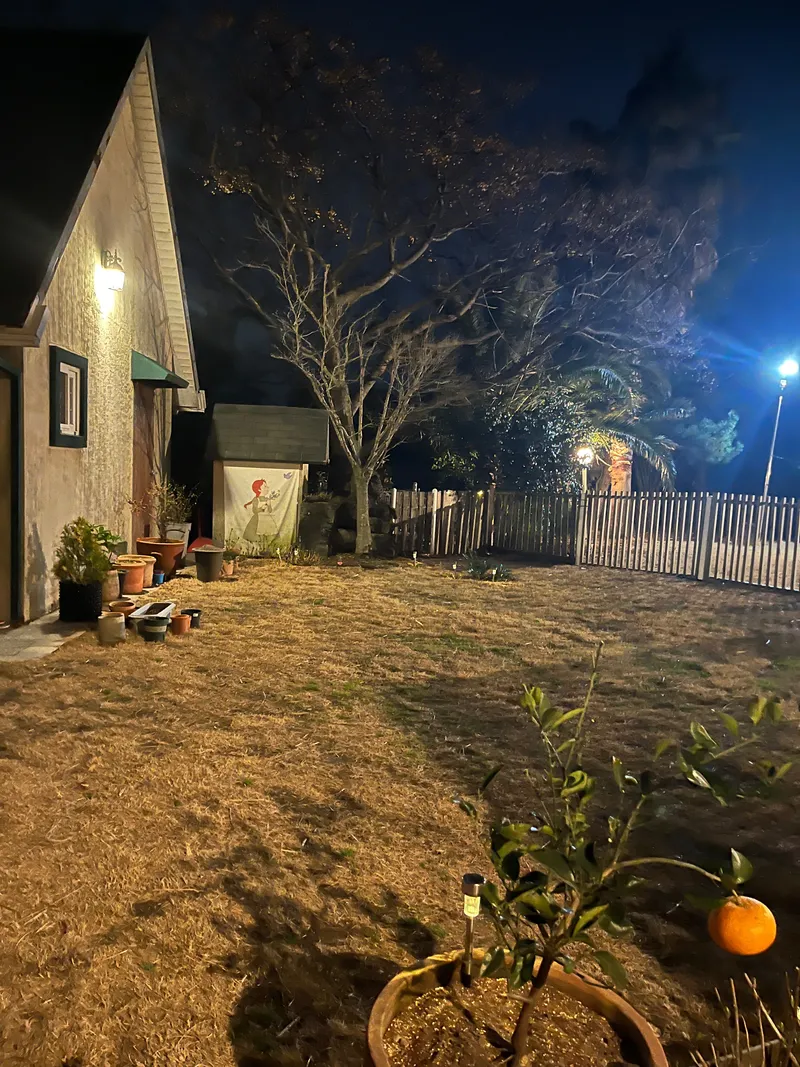 [Hallim, Jeju] 5-minute walk to Hyeopjae Beach, private house, dog-friendly, lawn yard, 29