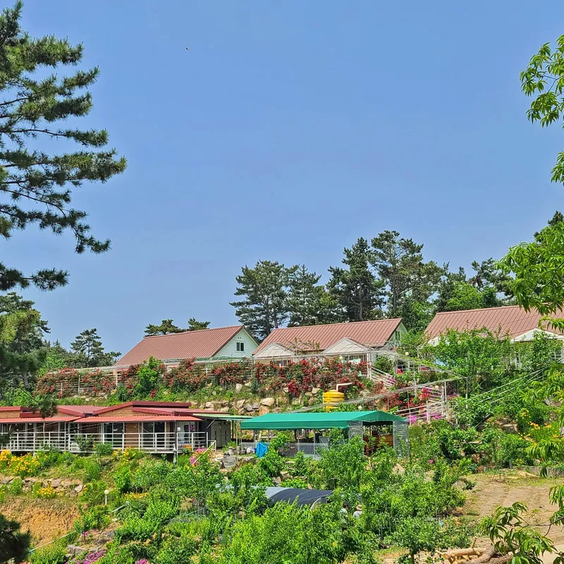 [Taean] Cozy annex #Pets allowed #Village vacation 13